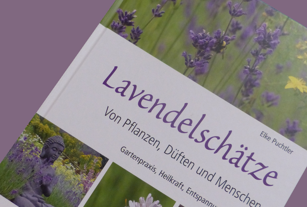 Unser Duftfavorit Lavendel - Mehr dazu in unserem Buchtipp "Lavendelschätze" von Elke Puchtler