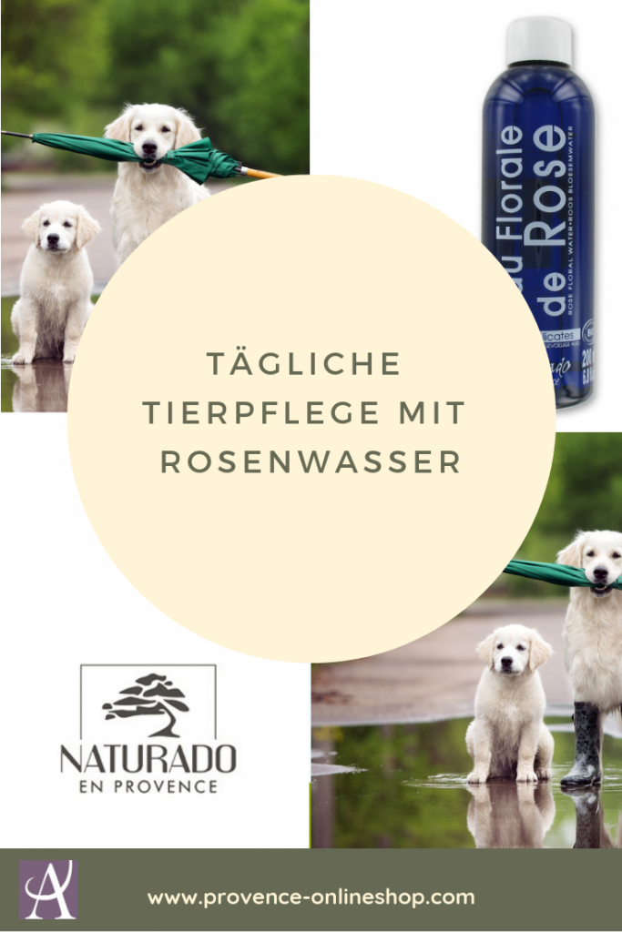 Tägliche Tierpflege mit Blütenwasser Aromatherapie für Hund und Katze
