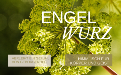 Das ätherische Öl Engelwurz: Einfach himmlisch für Körper und Geist